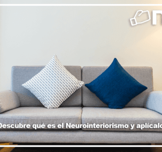 neurointeriorismo blog Niasa